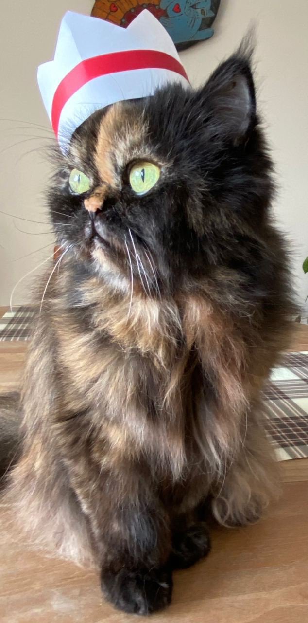 Если диктатор, то только такой: белорусы массово инаугурируют котов, собак и мышей (фото)