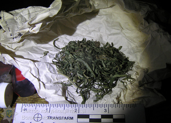 У Волинській області у чоловіка вилучили зброю, вибухівку та наркотики