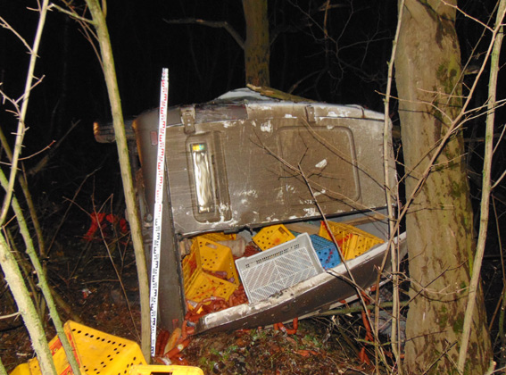 В Житомирской области перевернулся микроавтобус, есть погибшие