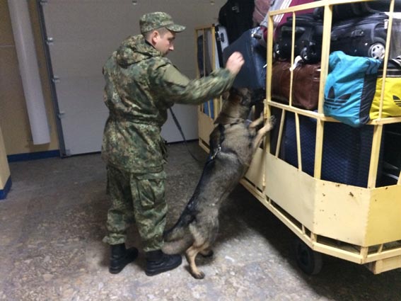 В Днепре, Херсоне и Виннице полиция проверяет сообщения о "минировании" аэропортов