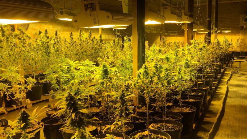 В Полтавской области разоблачили международную нарколабораторию