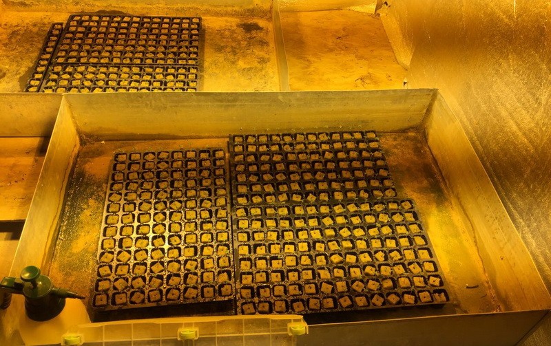 В Полтавской области разоблачили международную нарколабораторию