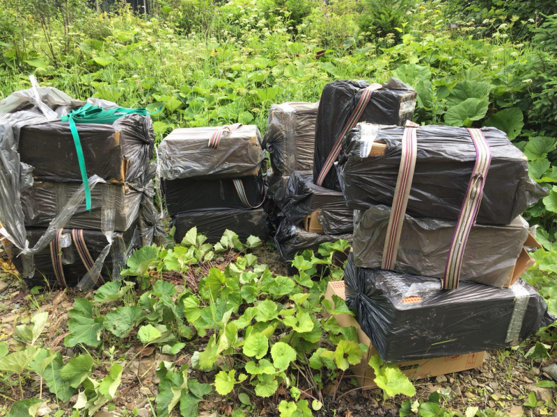 На Буковине пограничники снова стреляли, останавливая нарушителей