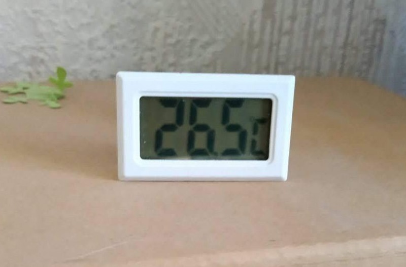 Украинцы "сходят с ума": в квартирах невероятная жара