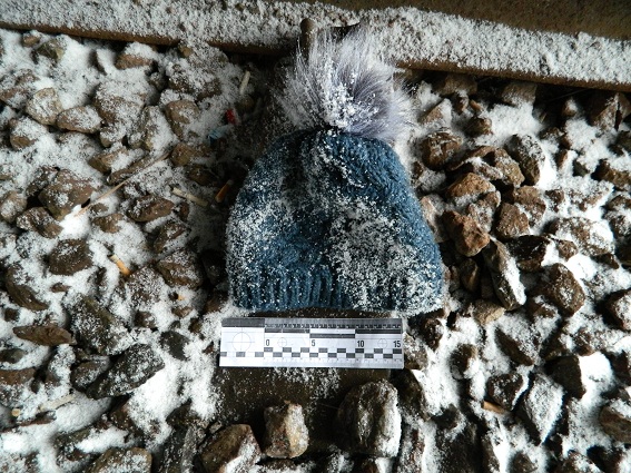 В Киеве на станции "Святошино" женщина бросилась под поезд