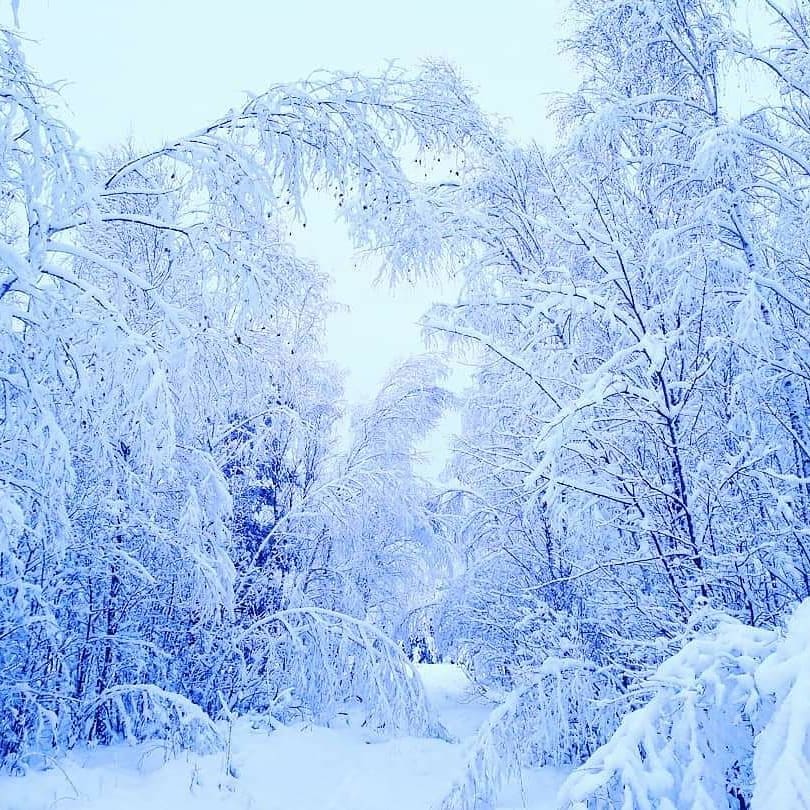 В Украину пришла сказочная зима: на фото попали невероятные пейзажи