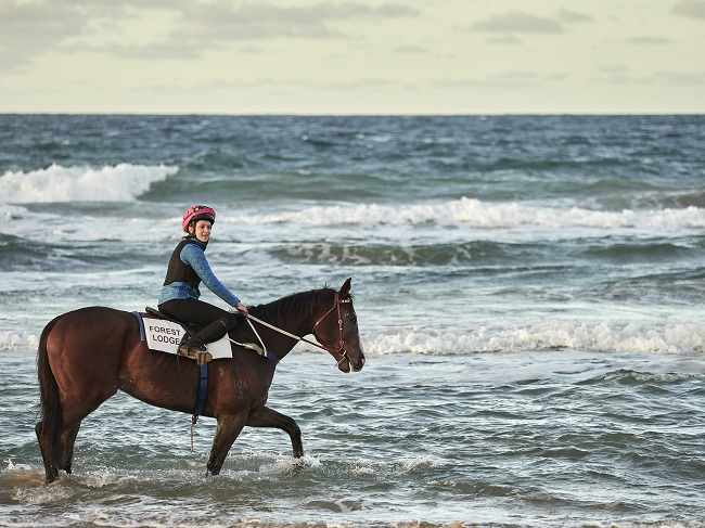 У Києві відбудеться грандіозна прем'єра фільму "Гонки на мільйон" з Семом Ніллом та Терезою Палмер