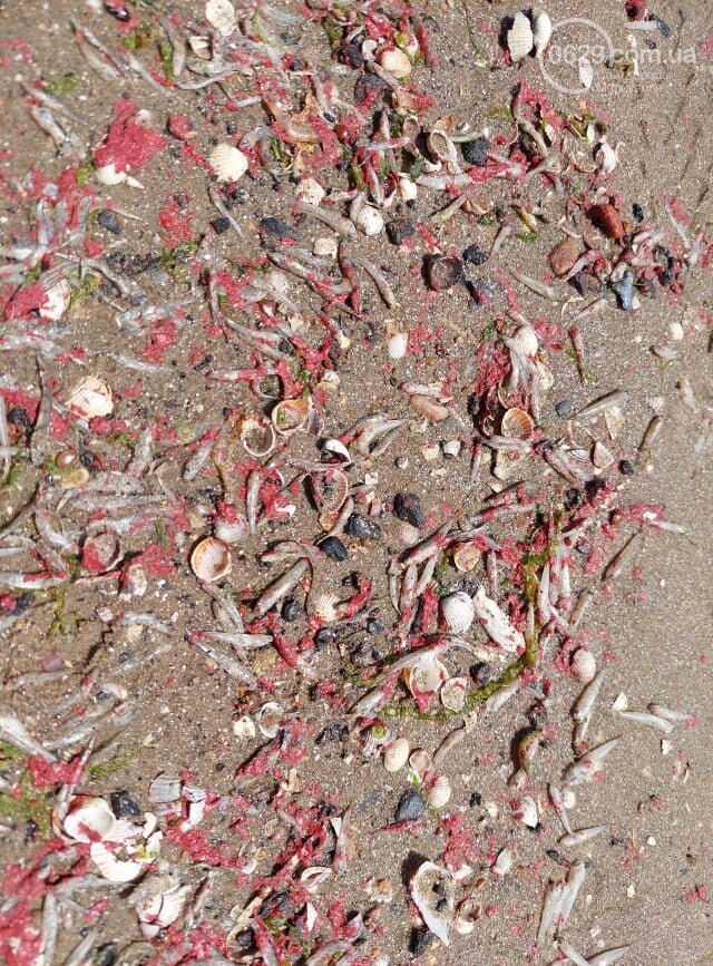 В Азовское море попало много краски: гибнет рыба, людям запретили купаться (фото)