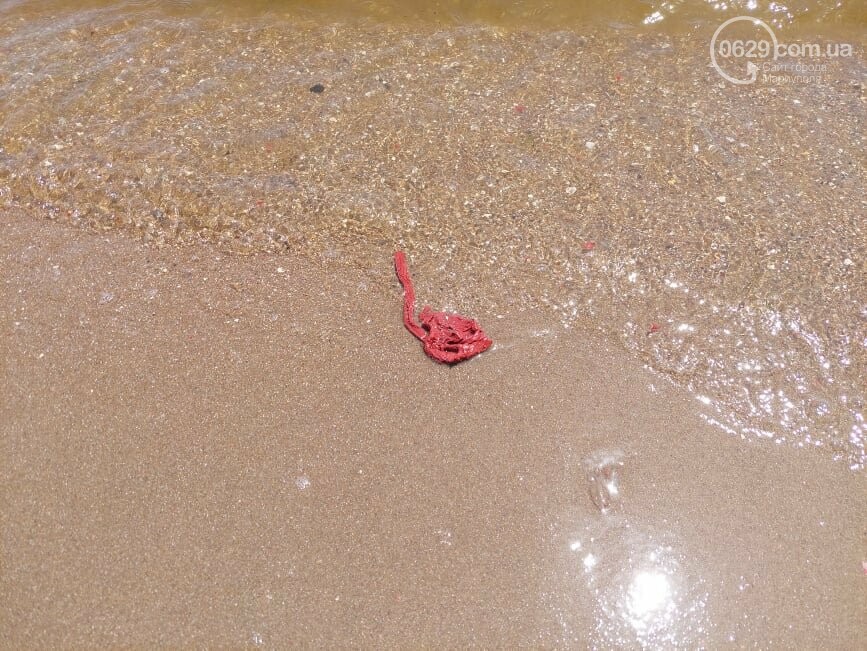 В Азовское море попало много краски: гибнет рыба, людям запретили купаться (фото)