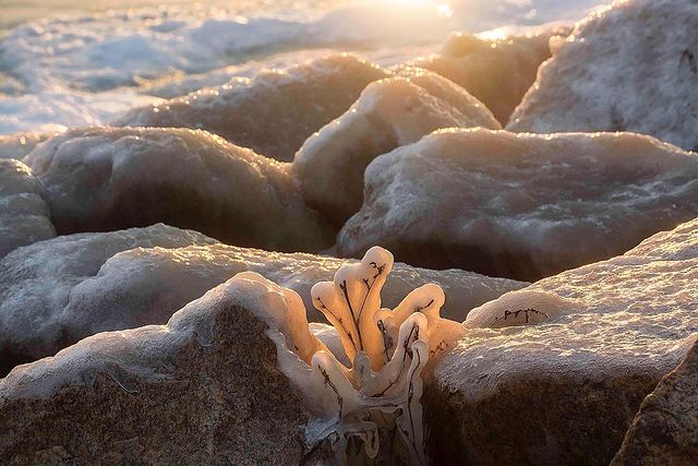 Азовское море сковали плотные льды: завораживающие фото