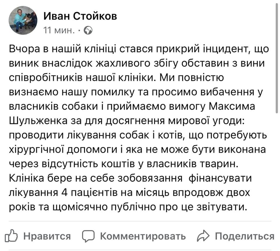У Києві у ветклініці стерилізували собаку, хоча мали просто підстригти: спалахнув скандал