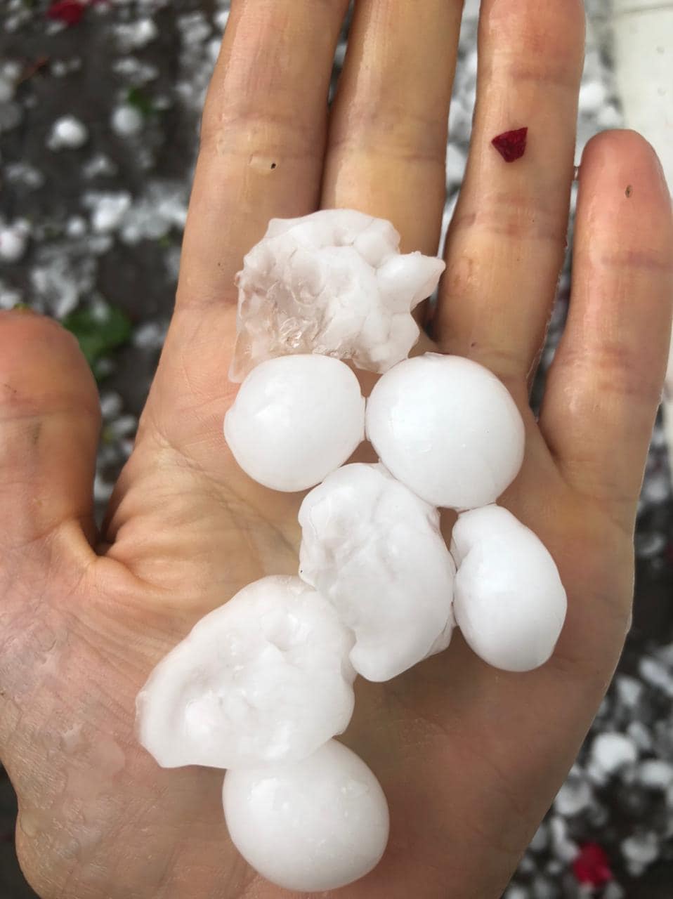 Под Тернополем выпал гигантский град размером с пельмени: "на очереди американские смерчи?"