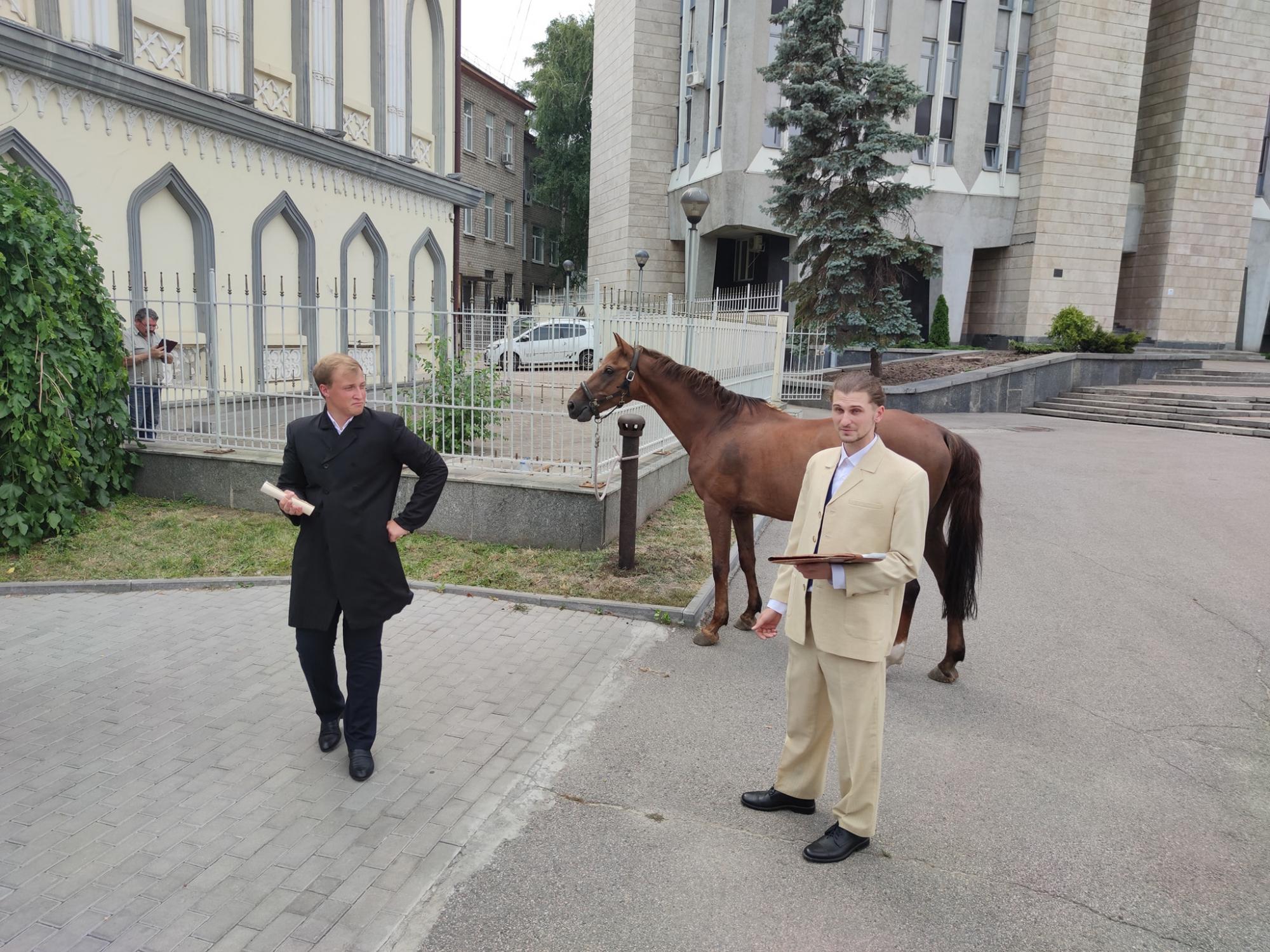 Біля міськради у Дніпрі встановили "парковку" для коней: місцеві здивувались (фото)