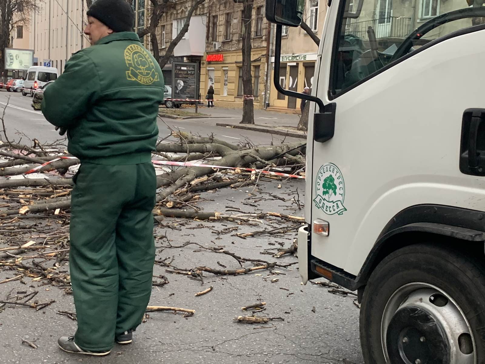 В Одессе мощный шторм повалил деревья и наделал много беды (фото)