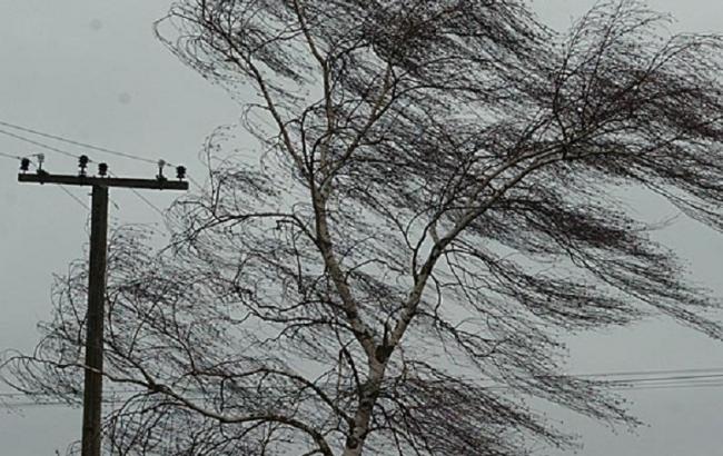 Итоги дня: 16 июня