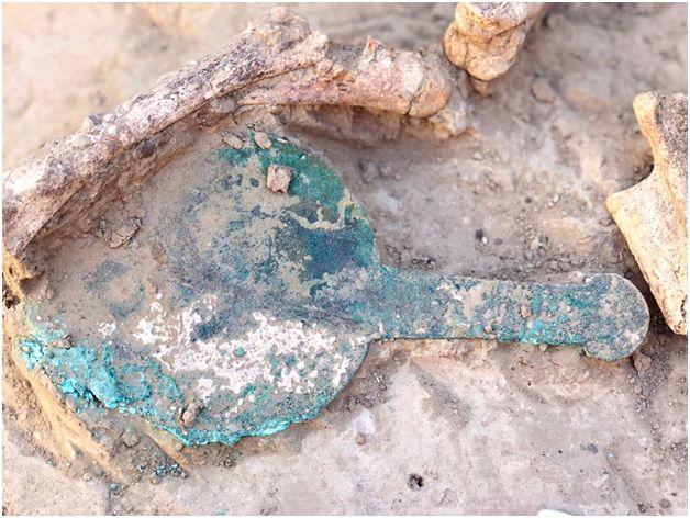 Нове дослідження про скіфів в Україні перевернуло уявлення про стародавній народ