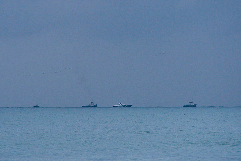 Крушение российского самолета Ту-154: все подробности