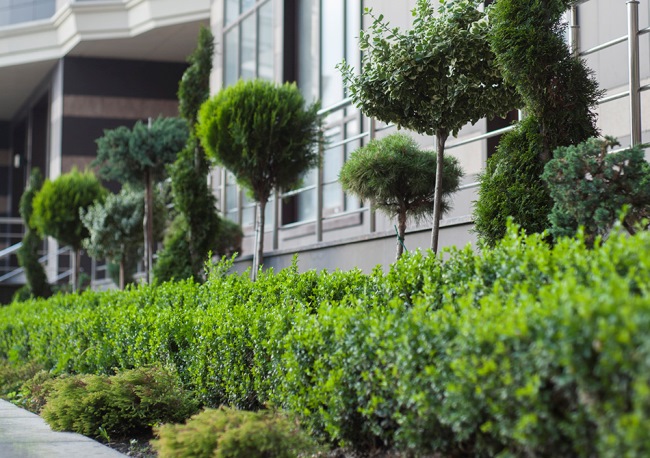 Інвестиції в нерухомість: вкладаємо кошти з розумом