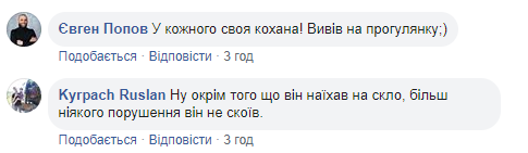 Новый мост в Киеве снова "атаковали": входит в моду у дятлов (фото)