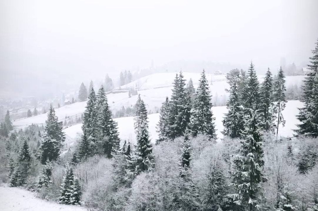Запад Украины на Рождество засыпало снегом: сказочные фото и видео