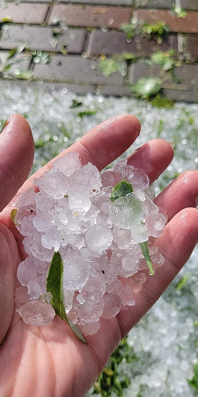 Под Киевом выпал крупный град: известный политик показала последствия непогоды (фото)