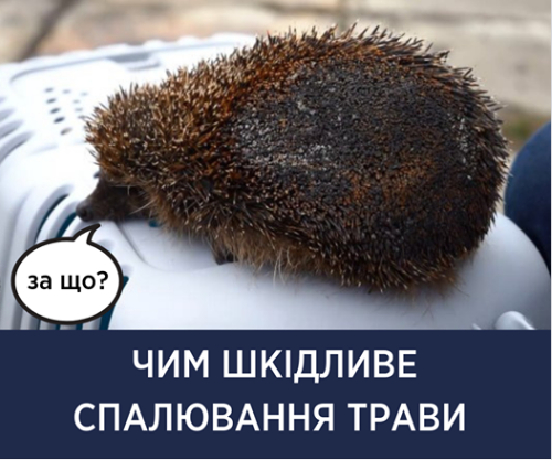 Гибнут редкие животные: Супрун сделала важное предупреждение