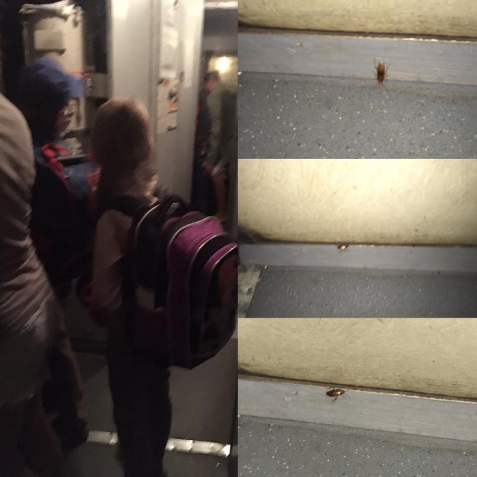 Укрзализныця снова повергла пассажиров в шок: лучше увидеть своими глазами