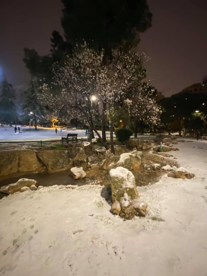 Иерусалим неожиданно занесло снегом: видео и фото