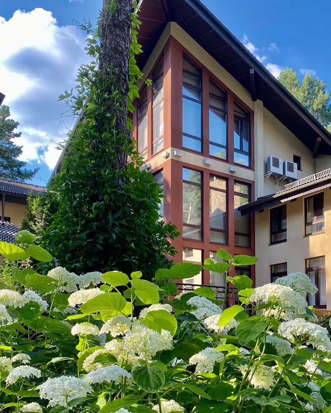 София Ротару засветила роскошный особняк под Киевом за миллион долларов (фото)