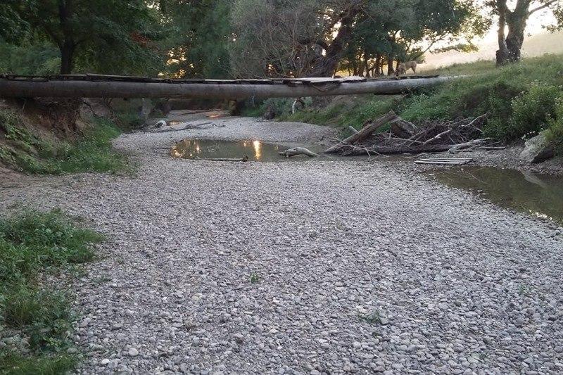 Крым столкнулся с экологической катастрофой: реки превратились в лужи