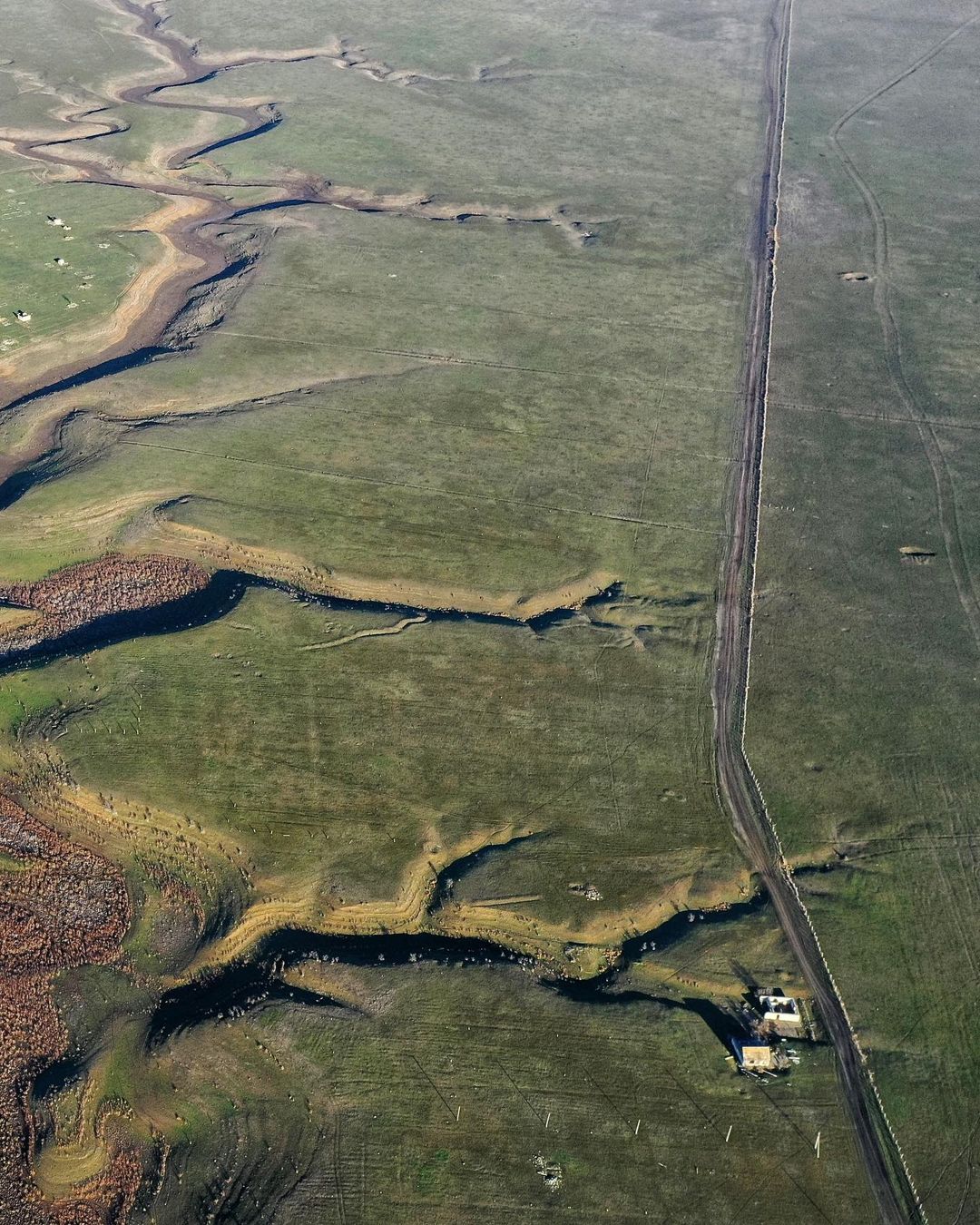 В Крыму высохло большое пресное озеро: на дне растут деревья