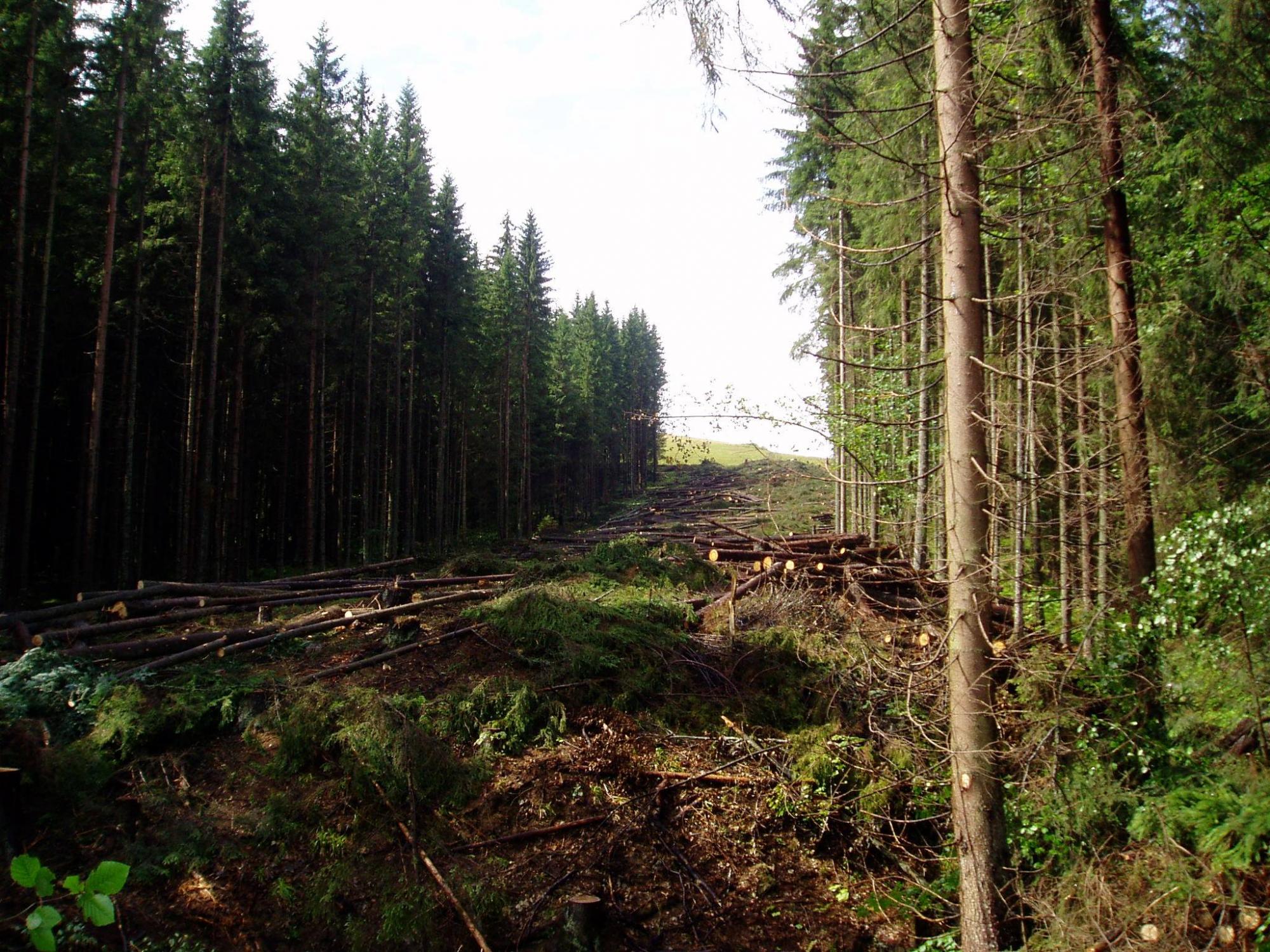 Буковель 20 лет назад: на этих редких фото вы не узнаете свой любимый курорт!
