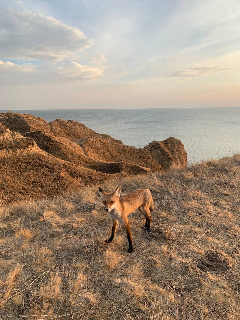 Топ-3 места для летнего отдыха в Украине, о которых вы, скорее всего, не знали