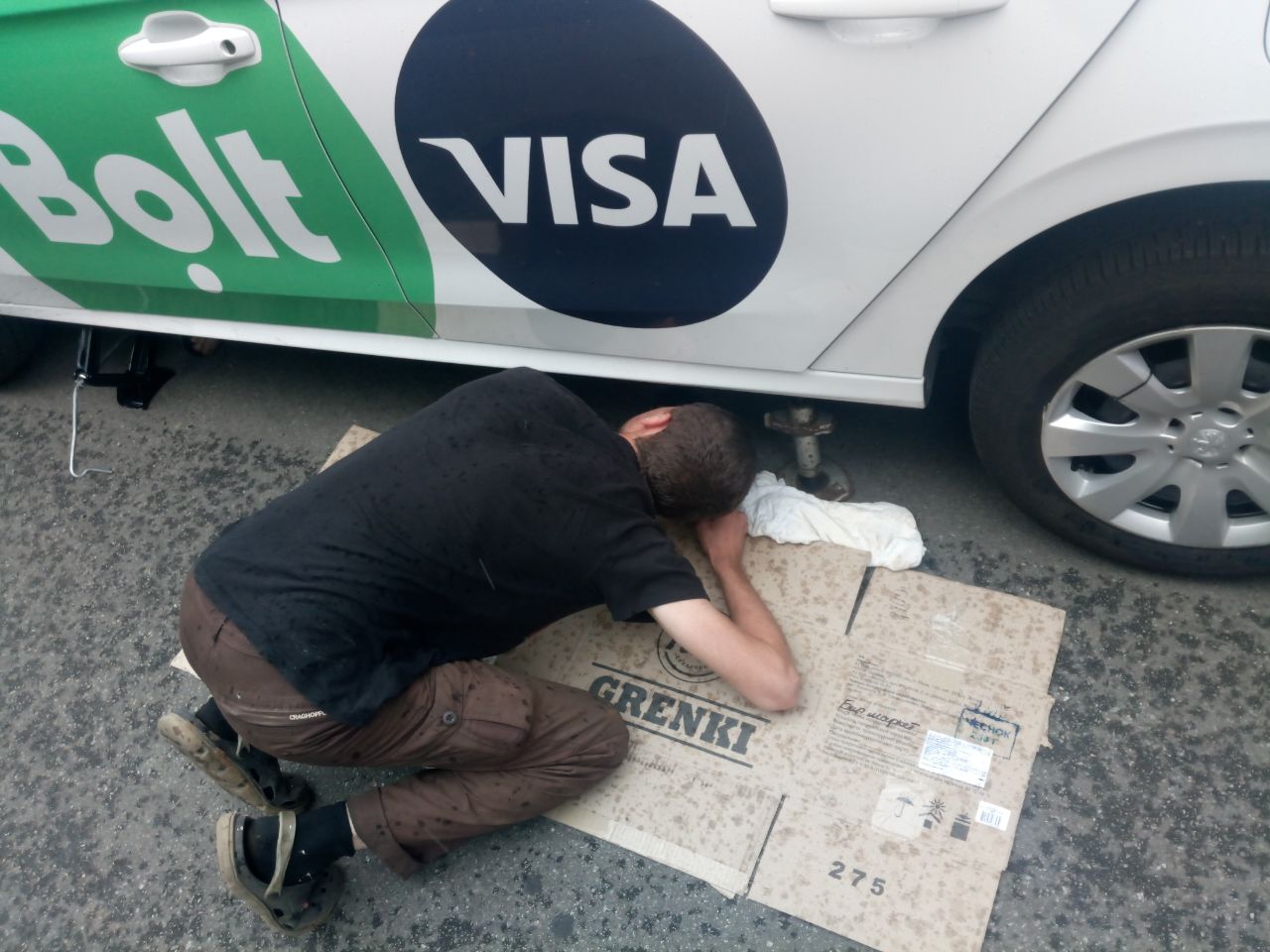 У Києві змія втекла від господарів і заповзла в автомобіль таксі (фото)