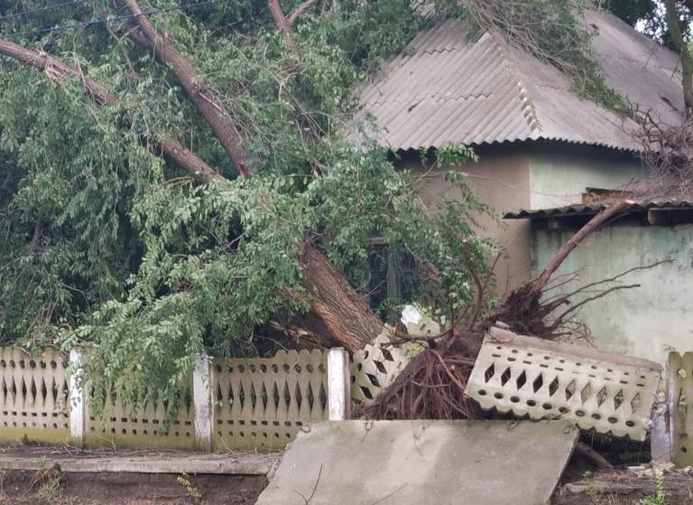 Крыши летали, а деревья вырывало с асфальтом: ураган наделал беды под Одессой
