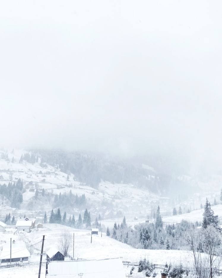 Запад Украины на Рождество засыпало снегом: сказочные фото и видео