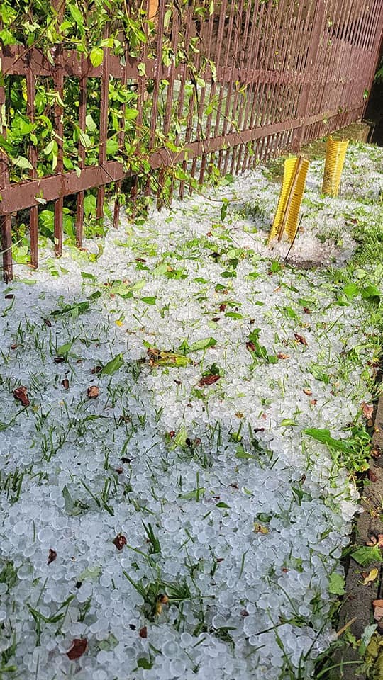 Под Киевом выпал крупный град: известный политик показала последствия непогоды (фото)