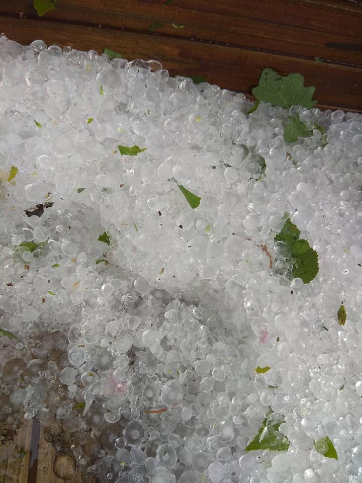 Под Киевом выпал крупный град: известный политик показала последствия непогоды (фото)