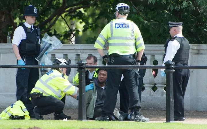 Возле Букингемского дворца арестовали мужчину с ножом