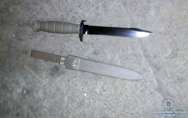 Полиция обнаружила в Донецкой области арсенал оружия