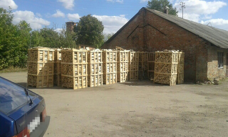 СБУ разоблачила механизм хищения чиновниками ценных пород древесины в Ровенской области