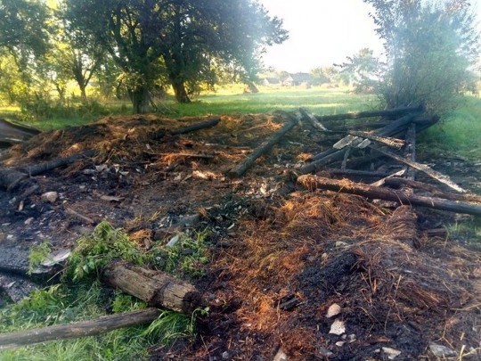 Местные жители в панике: под Житомиром происходят загадочные пожары