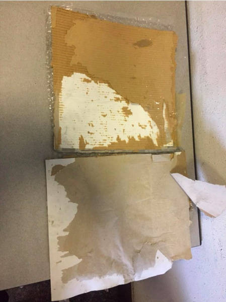 В аэропорту "Борисполь" обнаружены 5 кг кокаина