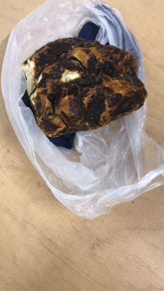 Пограничники задержали поляка, вывозившего из Украины 13 кг янтаря