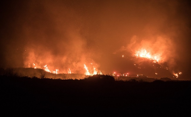 Пожары в Калифорнии: растет число жертв и пропавших без вести