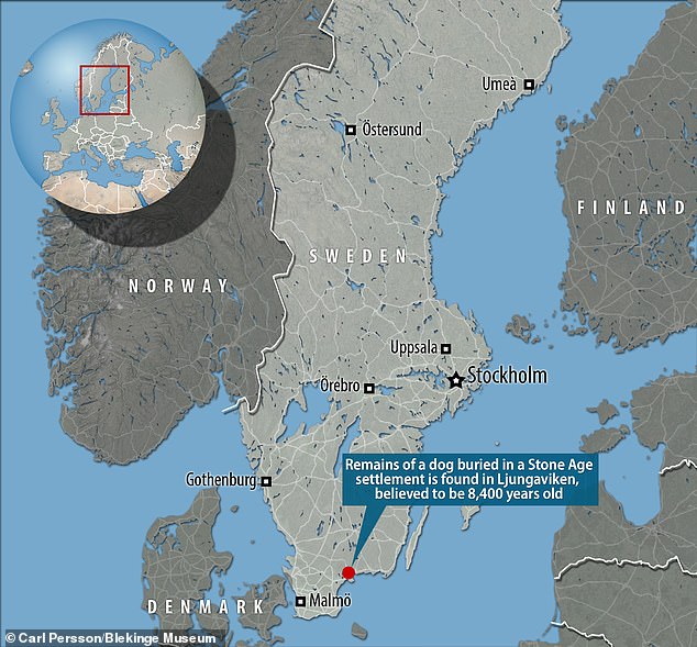 Археологи раскопали древнейшее захоронение возрастом более 8 400 лет