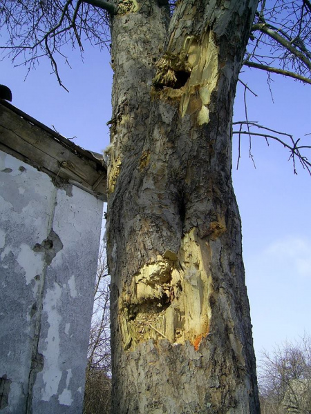 В Луганской области снаряд боевиков попал в жилой дом
