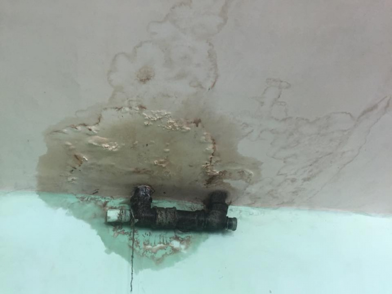 Денісова звернеться в Мін'юст через порушення у Бучанській колонії