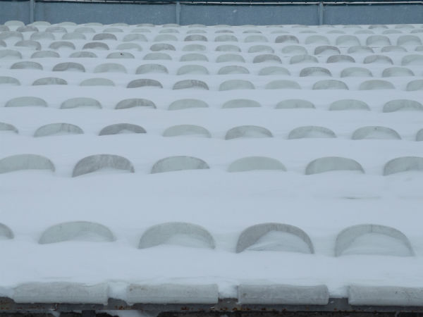 Матч 22 тура УПЛ "Зирка" - "Александрия" перенесли из-за снегопада