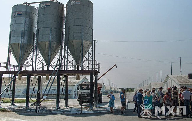 Мироновский хлебопродукт Косюка: свежие новости, статистика и финансовая информация